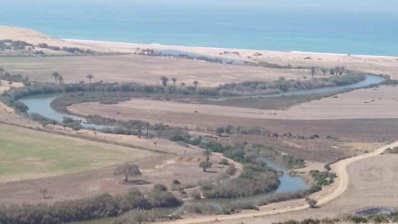 Terrain à Vendre – Vue sur l&rsquo;océan